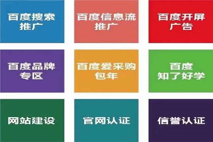 案例分享：SEM推广助力企业实现品牌国际化